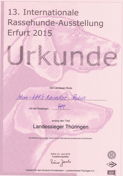 Landessieger Thüruingen 2015kle